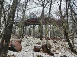 Cabaña Boreal, Punta del Bosque