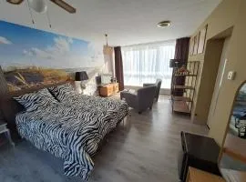 B&B Uit de Kunst Anna Paulowna
