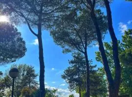 CAMPING AMALASUNTA