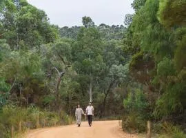 Wine Tree Estate Chalets