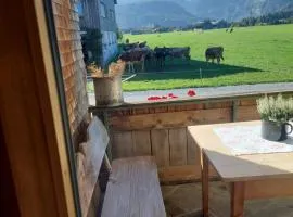 Sonnen Bauernhof Schneider