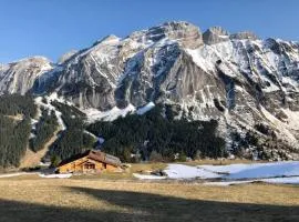 Grand Chalet - Coeur de la montagne