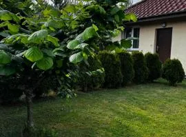Domek Machowino w Dolinie nad Stawem