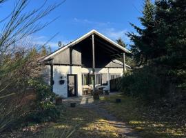 Chalet BERGliebe Willingen- Nähe Skywalk，位于维林根的酒店