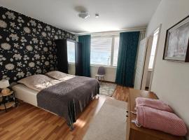 Snow Pearl Kemi City Apartment，位于凯米的酒店