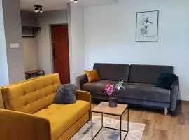 Apartament Dworska
