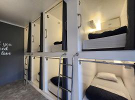 Vila Rock Hostel - próximo Allianz Parque, Vila Madalena, Av Paulista, Hospital das Clínicas INCOR FMUSP，位于圣保罗的酒店