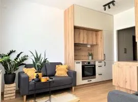 Beautiful apartment near the city center