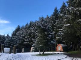 Colliford Lake Hotel & Campsite，位于Bolventor的酒店