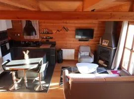 Chalet chaleureux 8 pers avec cheminée - FR-1-504-692