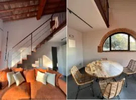 The Barn among olive trees