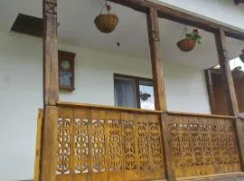 PRIDVOR de STOENESTI
