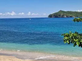 Castaway Surf Retreat