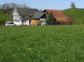 Gemütliche 2 Zimmerwohnung im Grünen