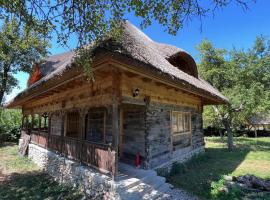 Casa cu Stuf - Căsuță de Poveste cu Acoperiș de Stuf Refugiu Rustic și Modern în Natură lângă pârâu Loc de joaca pentru Copii Parcare Foișor，位于Marga的酒店