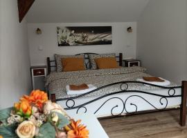 Apartamenty w Stodole，位于克罗奇琴科的酒店