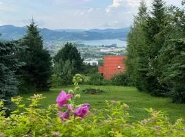 Domek z widokiem na jezioro Rożnowskie