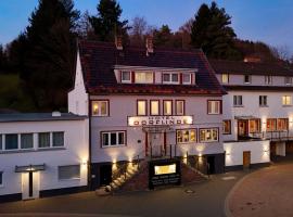 Gästehaus Dorflinde，位于Grasellenbach的酒店