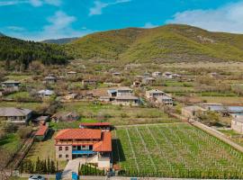 Winery Matisi，位于Babaneuri的木屋