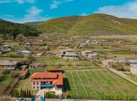 Winery Matisi