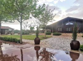 "LOS CASTILLOS" Casa Rural y espacio para eventos，位于托莱多的酒店