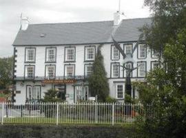 Neuadd Arms Hotel，位于勒兰蒂德威尔斯的酒店