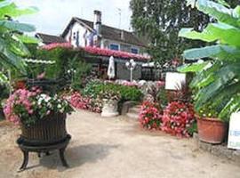 玫瑰花园比伯勒酒店，位于朱霍尔茨的酒店