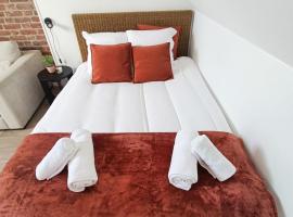 Les Briques Rouges, Appartement Béthune，位于贝休恩的酒店