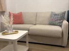 Appartement Saint-Pierre TOULOUSE hyper centre ville