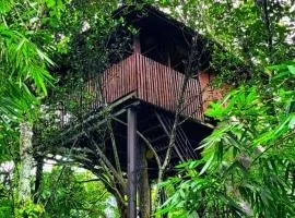 Greens Tree House & Wood House