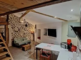 Gîte de village 2p, terrasse de toit et jacuzzi privatif