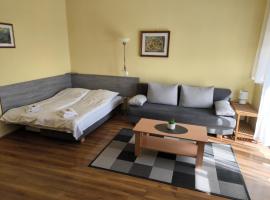 Szeki Apartman，位于巴拉顿菲赖德的酒店