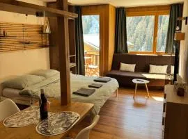 Studio Bellevue 1, ski lift 350m