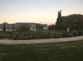Villa Rose