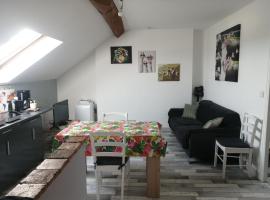 Appartement climatisé avec parking privé gratuit，位于杜埃拉丰坦的酒店