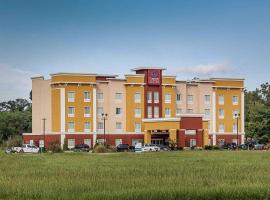 Comfort Suites near Tanger Outlet Mall，位于冈萨雷斯的酒店