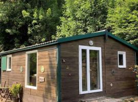 Lake View Cabin，位于Faux-la-Montagne的木屋