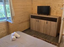 Cabanele din padure，位于埃尔埃尼塔的木屋