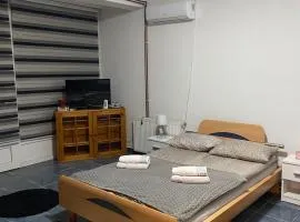 Apartmani Alejna