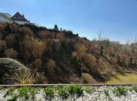 Ferienbutze Harz Drachenperle