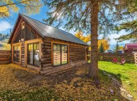 Cozy Timbers in Creede CO