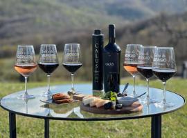 Terre di GIORGIO Agriturismo Villa la Palazzetta，位于卡斯蒂戈隆·多尔希亚的酒店