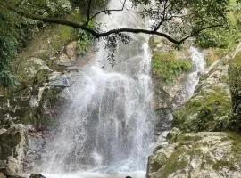 Bosque Azul