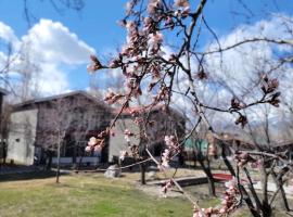 Apricot & spring Resort Skardu，位于锡卡都的酒店