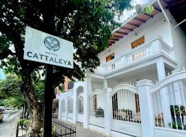 Hotel Cattaleya City，位于卡利的酒店