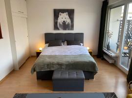 Appartement 1,5 pces，位于弗里堡的酒店