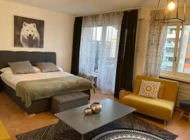 Appartement 1,5 pces，位于弗里堡的酒店