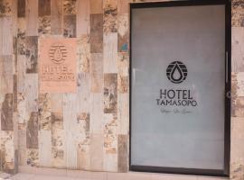 Hotel Tamasopo，位于塔马索波的酒店