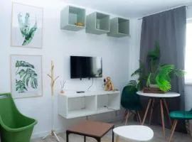 Jungle & Orange Box - Studio - Navodari