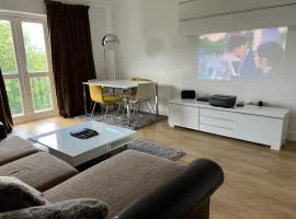 The Premier Living Experience Entire 2-Bedroom Modern Apartment